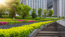 The Tracker found that 22% of businesses placed net-zero carbon as a top two priority